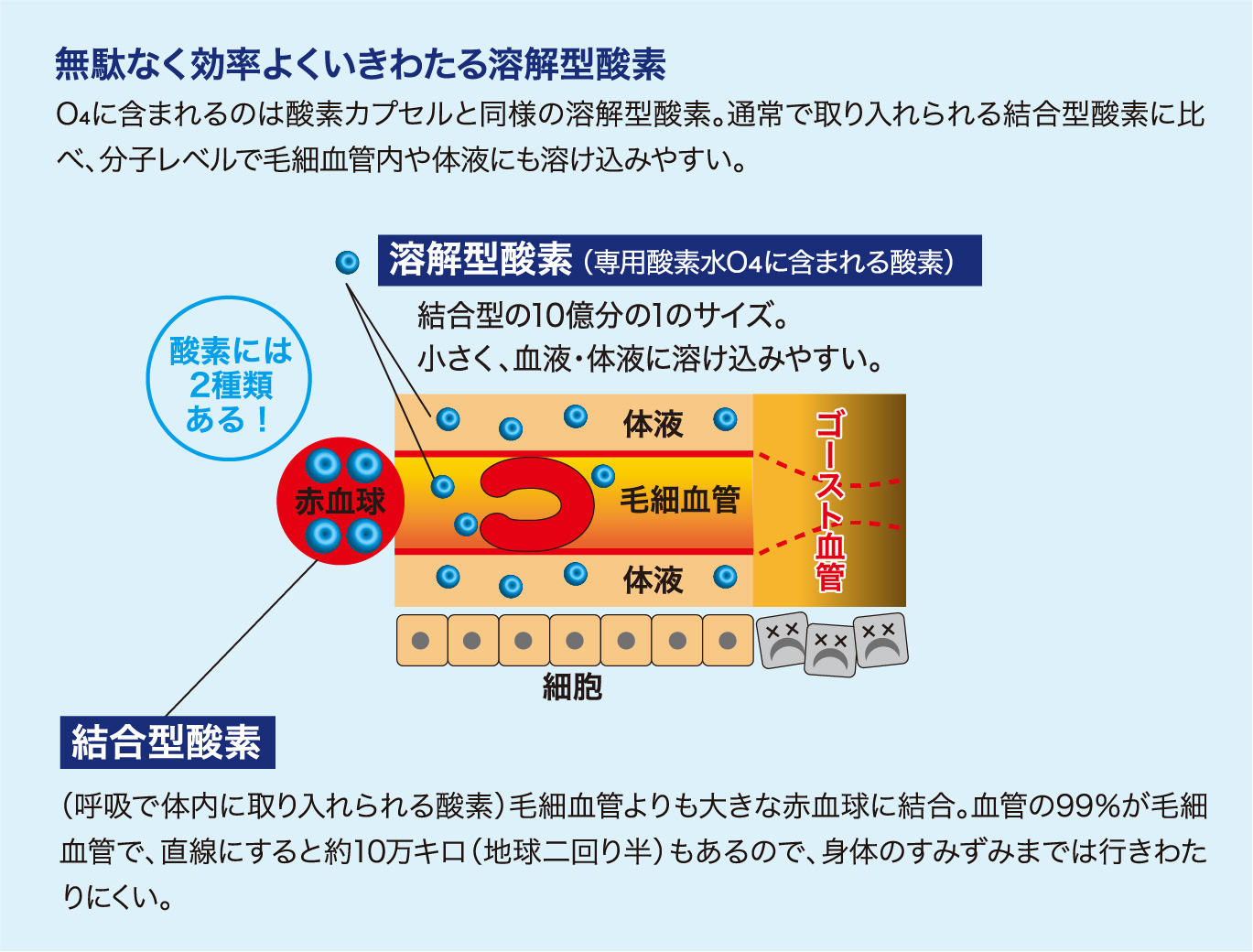 森呼吸 O4 - TEO株式会社