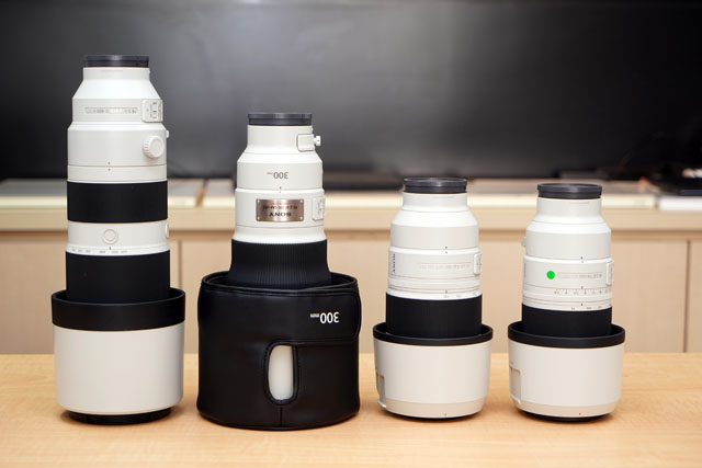 レビュー】夢の望遠レンズ『SEL300F28GM』の店員実機試用レポート