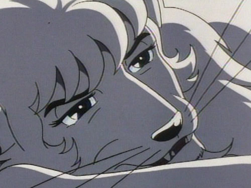 Symphonic Poem: Jungle Emperor Leo｜ANIMATION｜TEZUKA OSAMU OFFICIAL