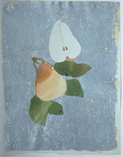 Andy Warhol Drawings, 1942-1987