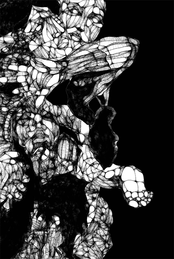 DISCOGRAPHY | the GazettE Official Site