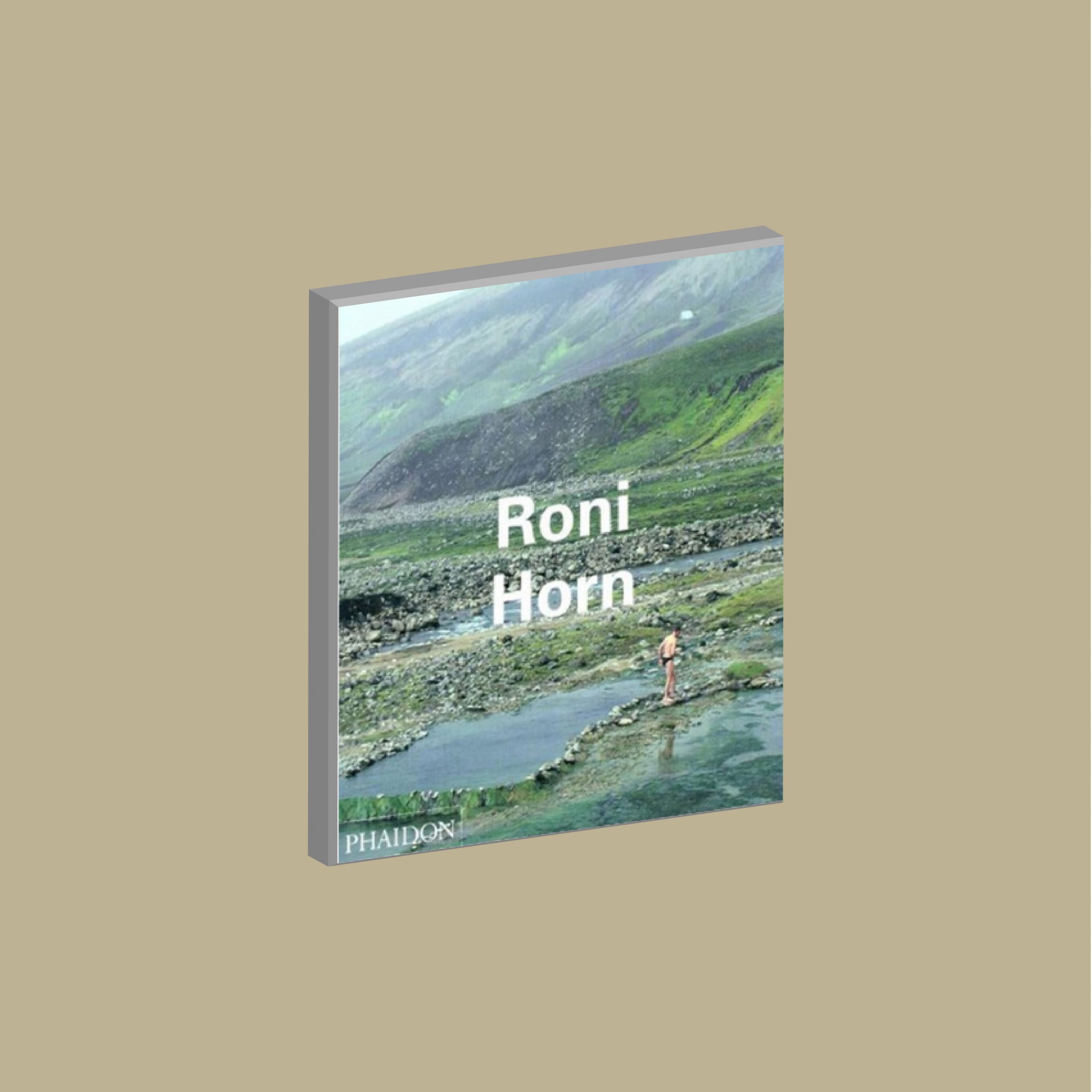 Roni Horn – theysaidbooks