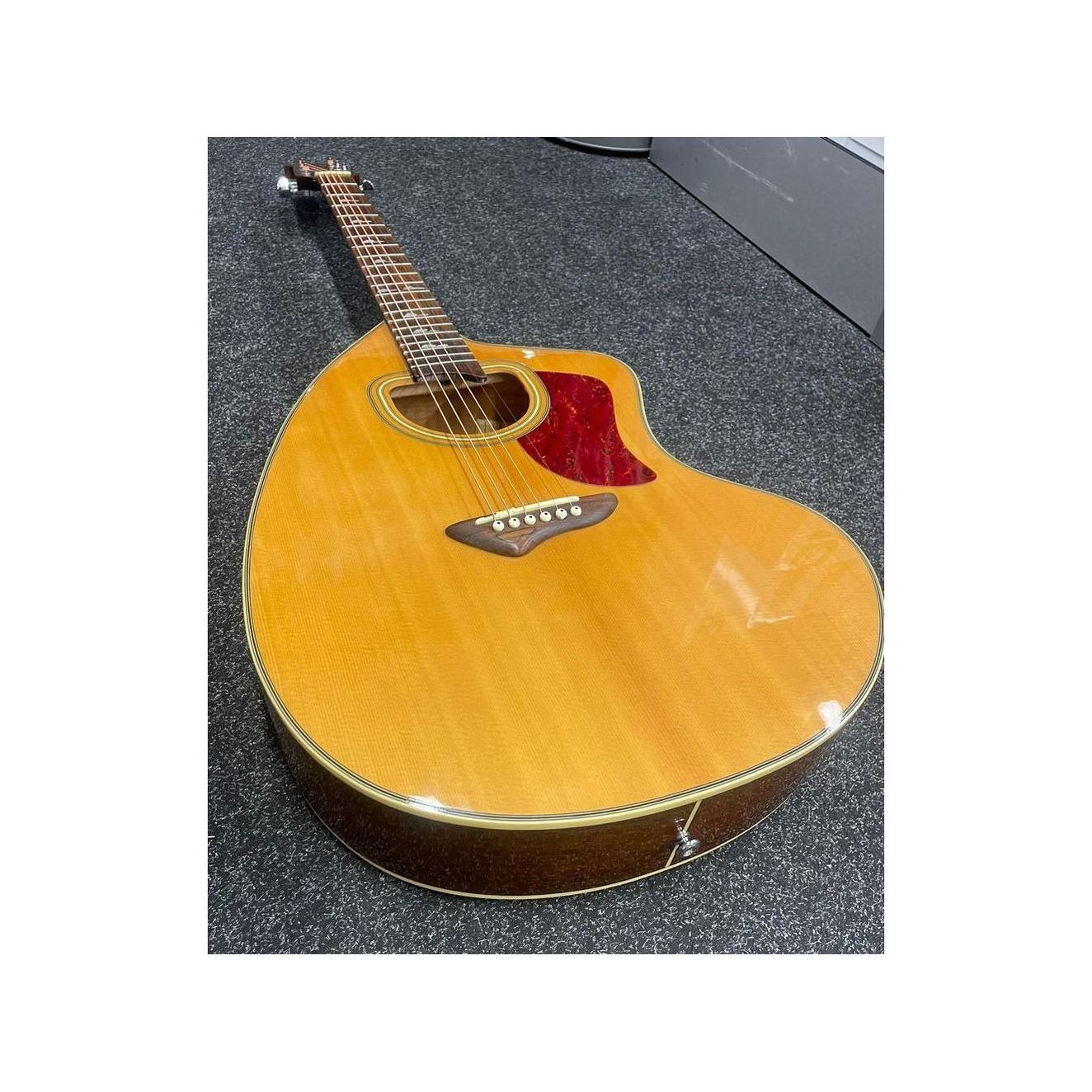 Jay Turser Giannini Steel Acoustic Guitar JTA-CRA-6S NG Pre-Owned