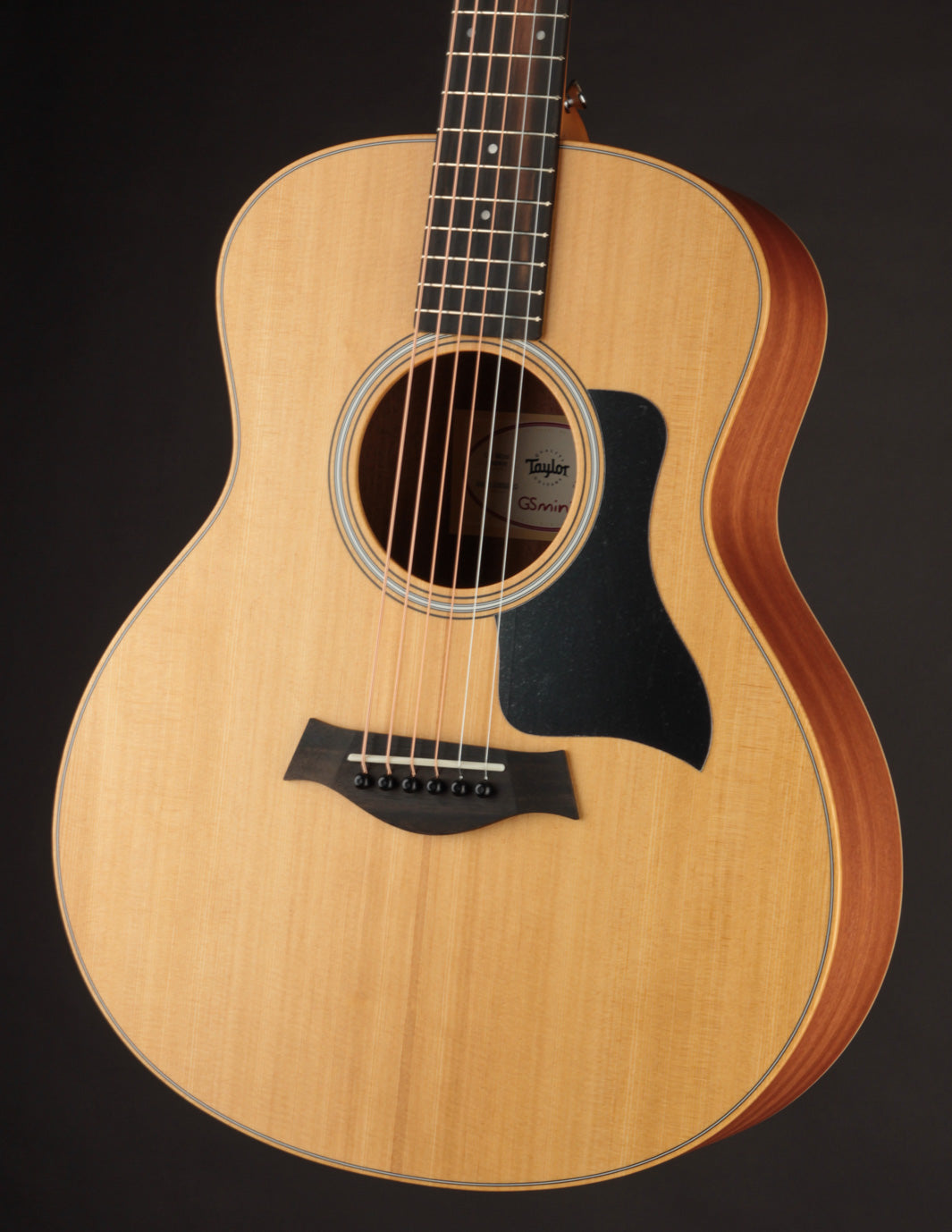 TAY-GSM-4.jpg?v=1705341547