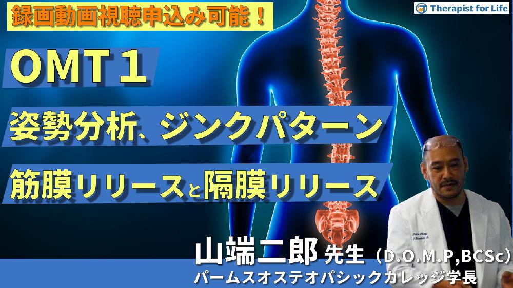 第7期【OMT】姿勢分析、全体の評価（ジンクのパターン