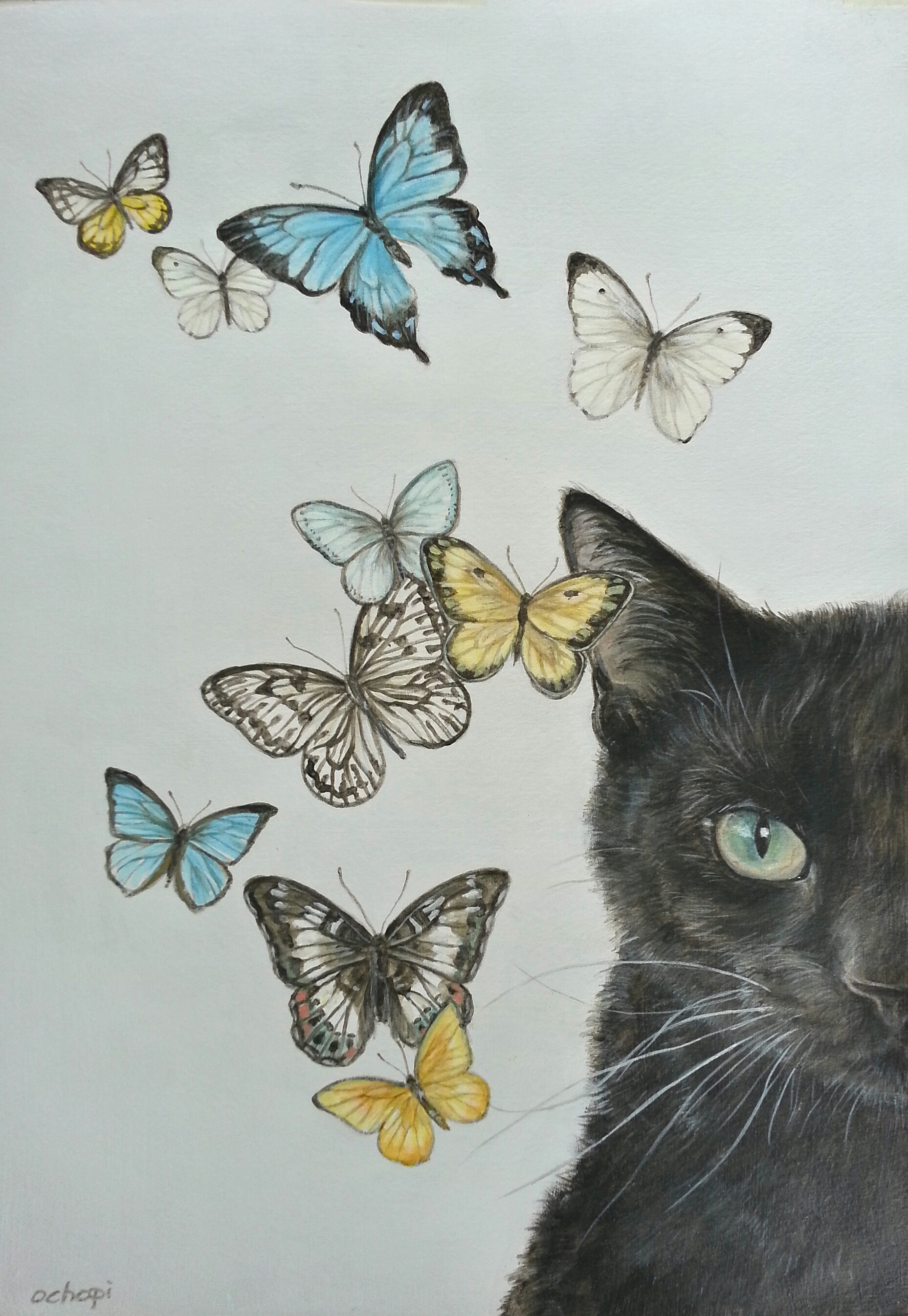 猫に蝶 6 | おちょぴ ｜インテリア絵画 アートの専門通販