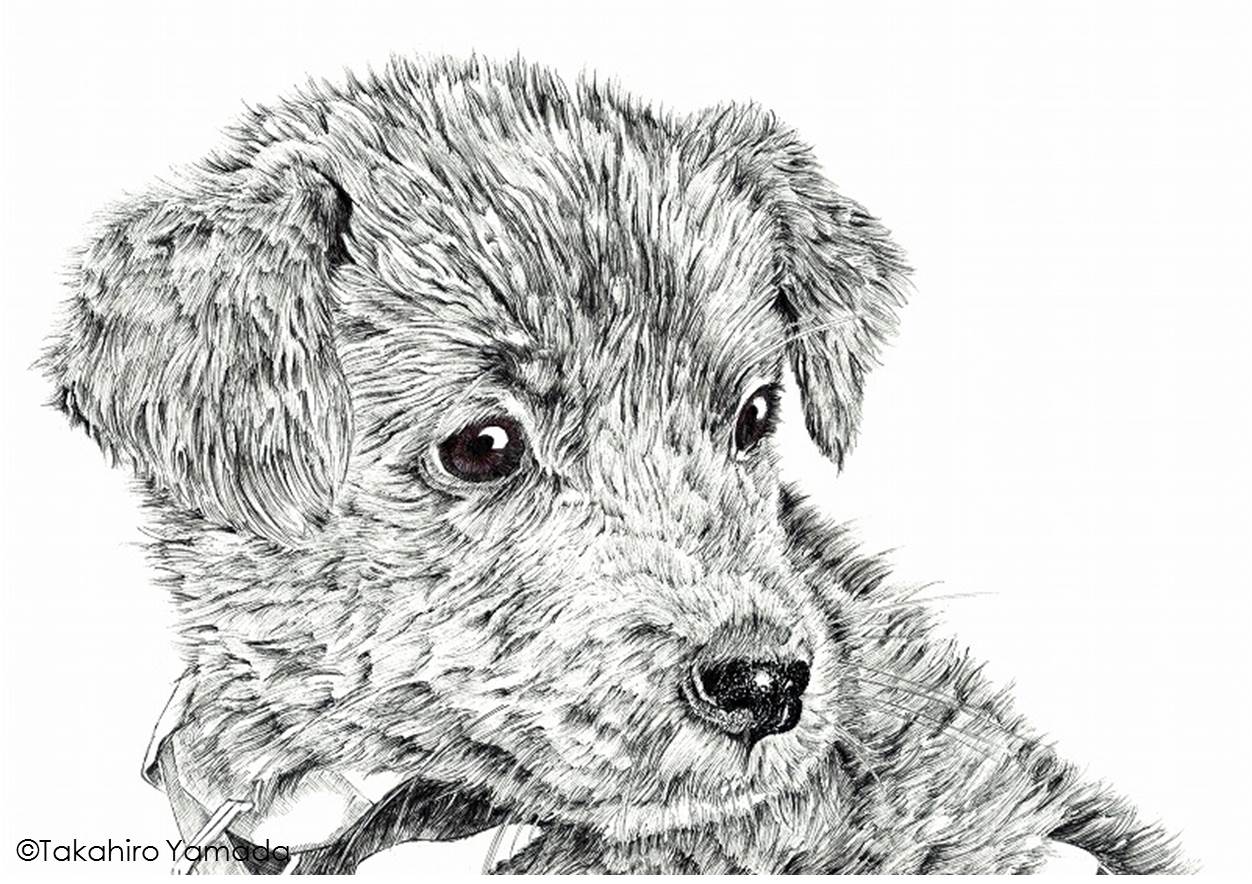 黒犬のくろちゃん | 山田貴裕 ｜インテリア絵画 アートの専門通販