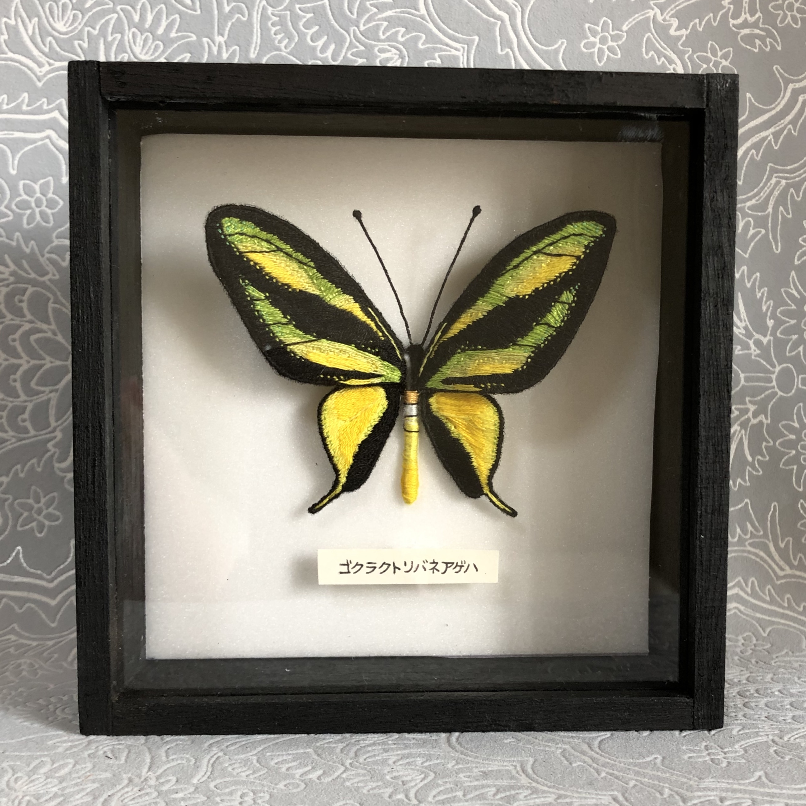 ゴクラクトリバネアゲハ 001 | 刺繍作家くぷらま ｜インテリア絵画