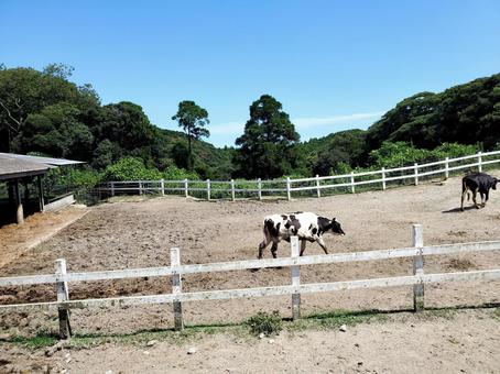 家畜小屋の写真素材｜写真素材なら「写真AC」無料（フリー）ダウンロードOK