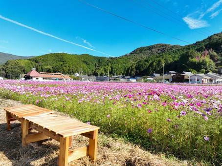 お花畑のベンチの写真素材｜写真素材なら「写真AC」無料（フリー