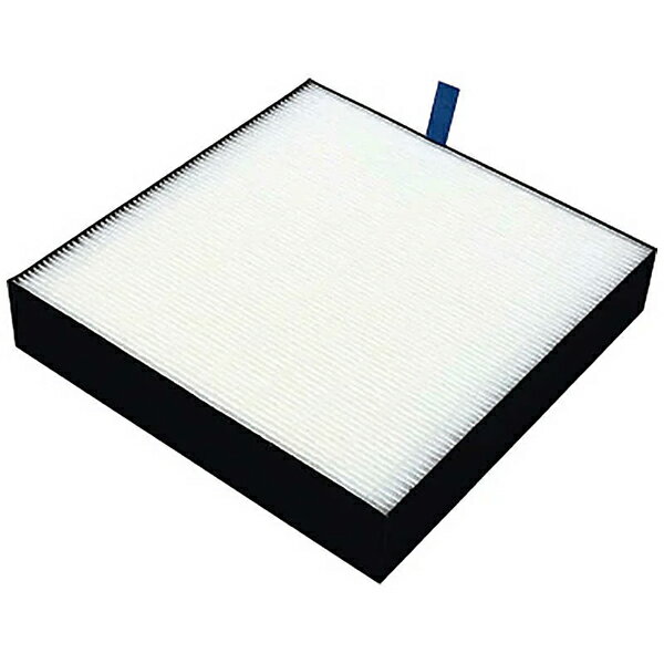bafp101a4.jpg