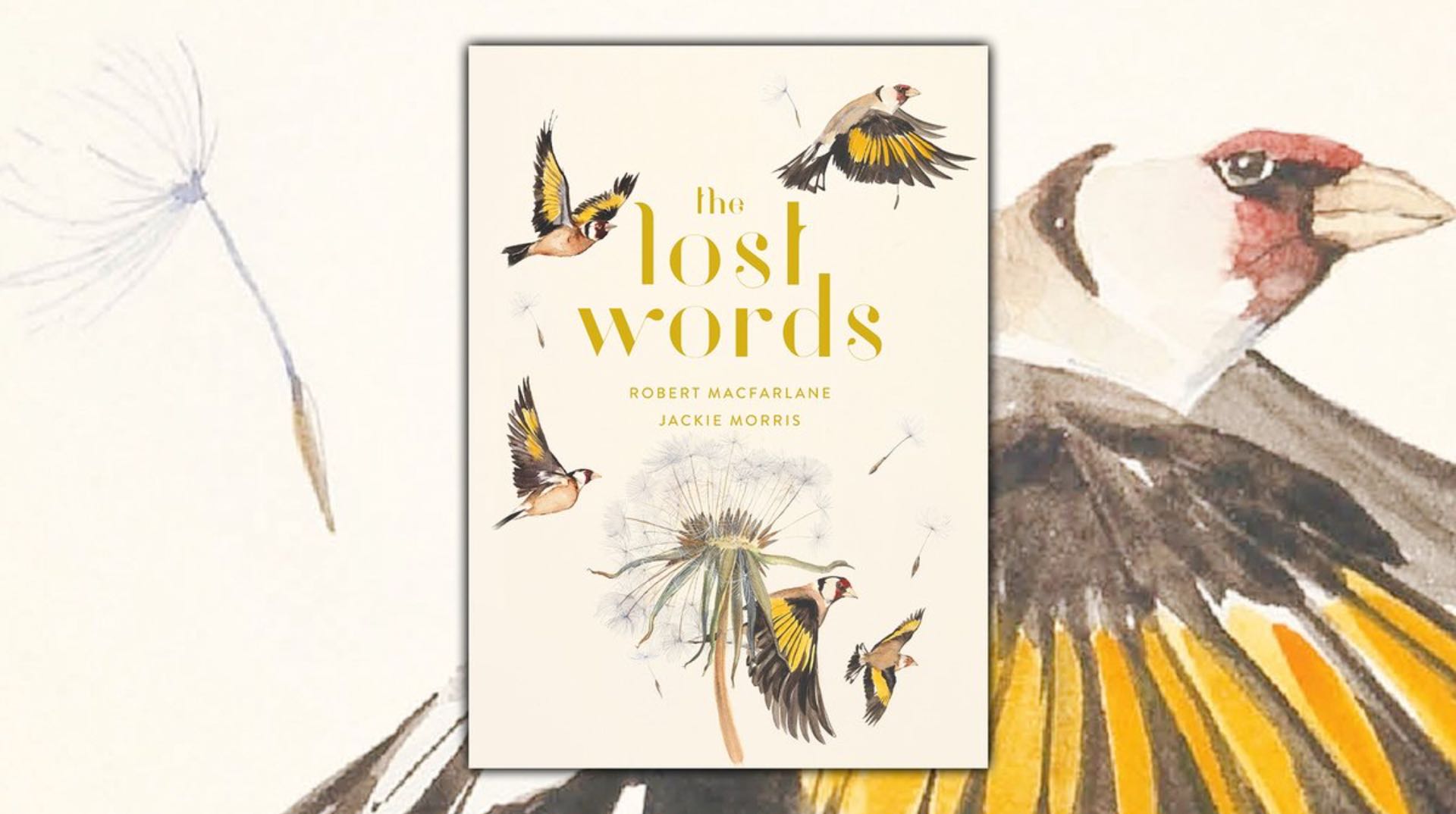 The Lost Words' by Robert Macfarlane and Jackie Morris — Tools and