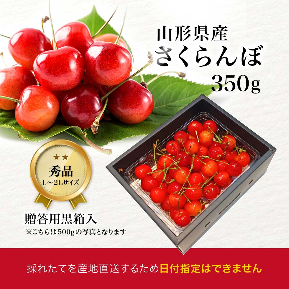 山形県産さくらんぼ秀品350g表面並べ（佐藤錦 紅秀峰）｜産地直送