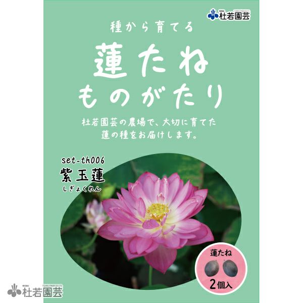 5袋までメール便対応】蓮たねものがたり-紫玉蓮(しぎょくれん)【小型種