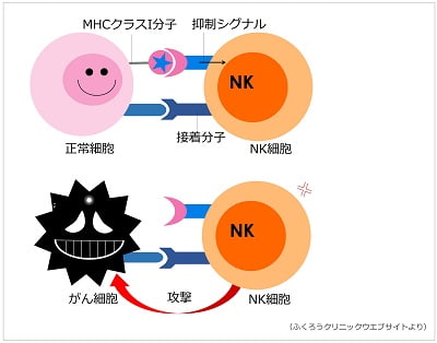 がん細胞の多様性 | 東京キャンサークリニック