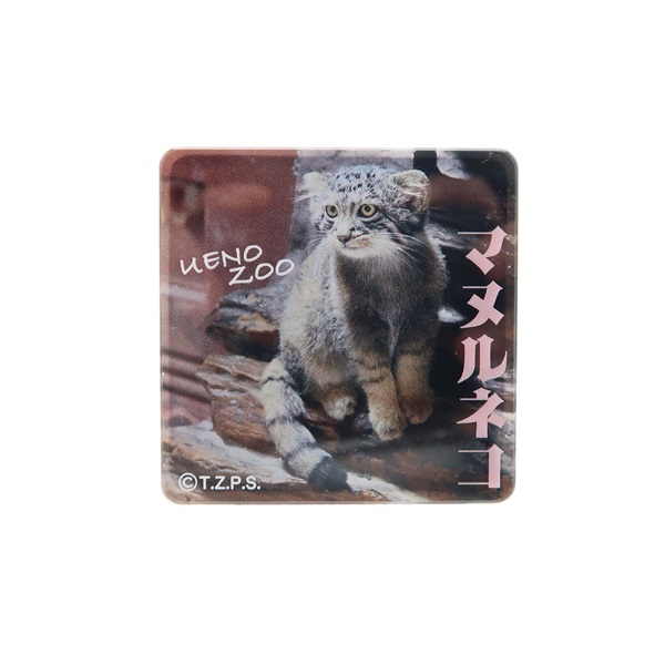 商品詳細ページ