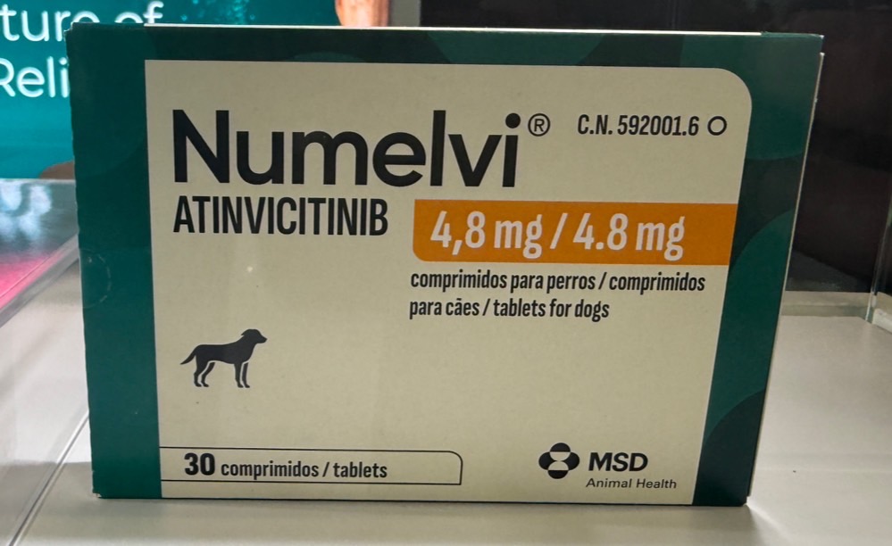 皮膚科】犬のアトピー性皮膚炎治療における新しい選択肢Numelvi
