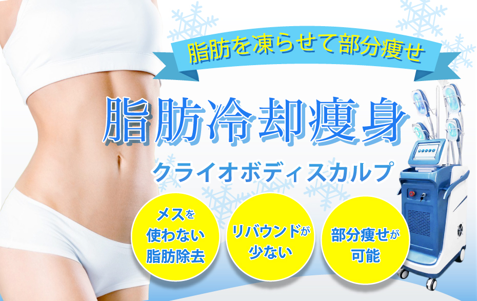 脂肪冷却痩身＞クライオボディスカルプ｜東京銀座スキンケアクリニック
