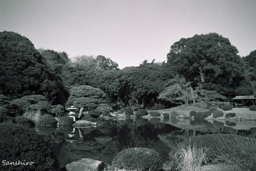 YASHICA ML 35mm F2.8 － ヤシカ ML 35mm F2.8