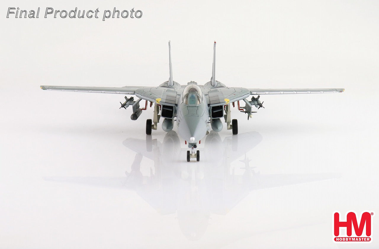 Hobby Master F-14D アメリカ海軍 第31戦闘攻撃飛行隊 「トムキャッ