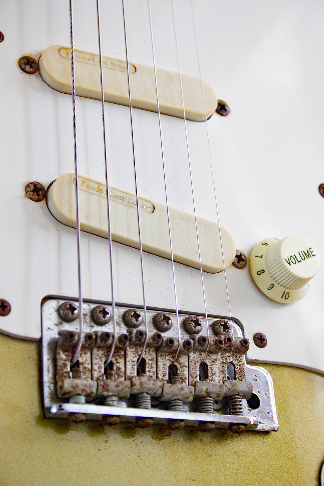 Lace 激レア Fender Lace Sensor Gold セット 初期型 貴重 エリック