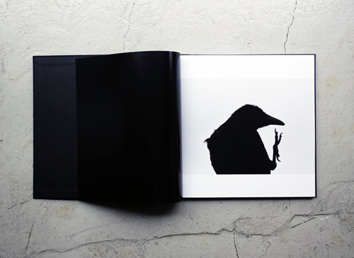 新品】深瀬昌久 写真集「鴉 / RAVENS」2017年 MACK