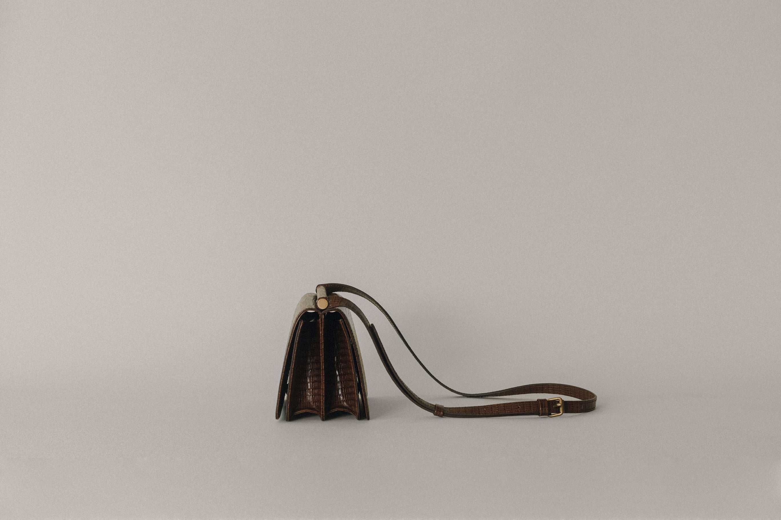 SAC PAUMELLE MINI LIZARD CHOCOLATE – TOUT Y EST JP