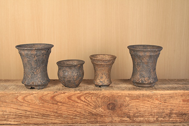 ヨコヤマ コーデックスアートギャラリー＜TOP＞ ～アガベ・塊根植物の