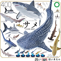 ネイチャーテクニカラー400 サメ 【いきもん】