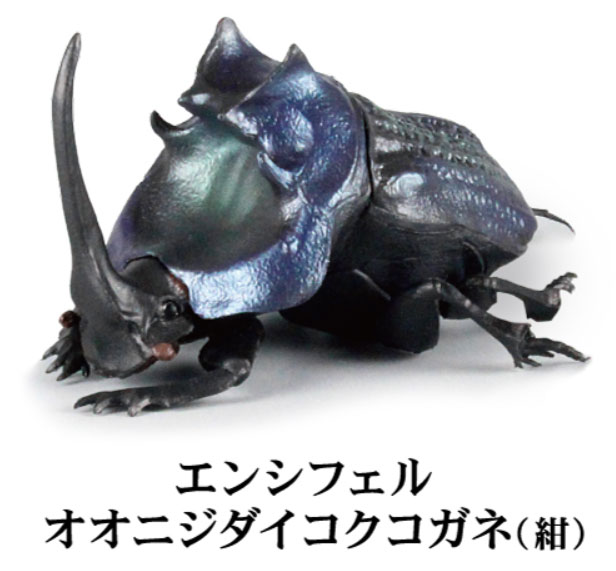 1/1 フンコロガシ 【SO-TA】