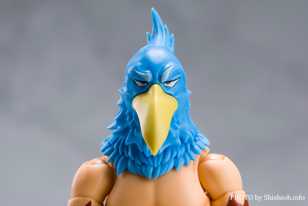 徹底レビュー】S.H.フィギュアーツ サンラク