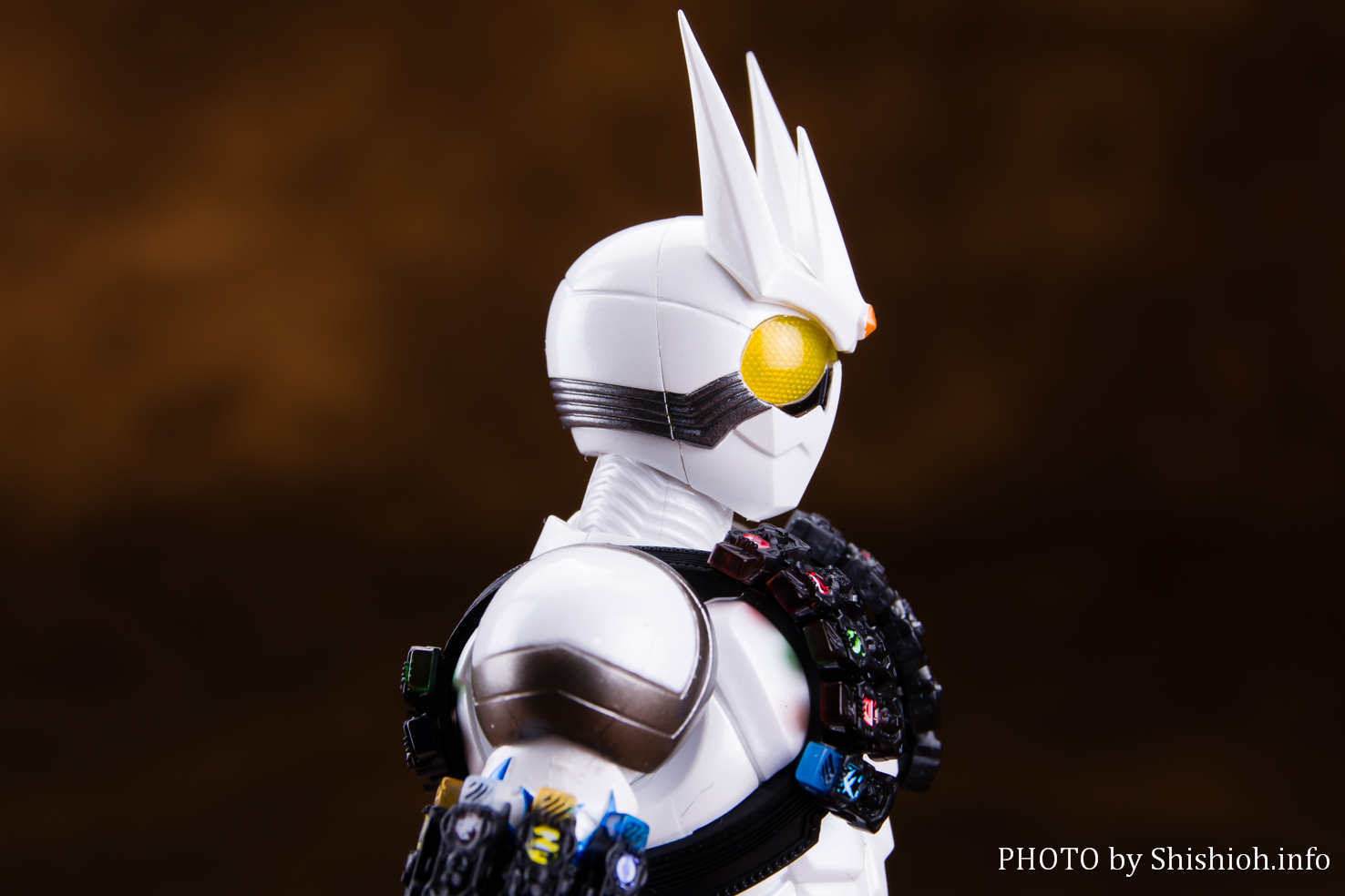 レビュー】S.H.Figuarts（真骨彫製法） 仮面ライダーエターナル