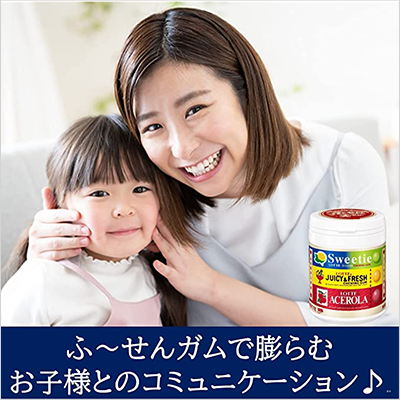 ふ～せんの実ボトル懐かしの板ガムフレーバーアソート×12個 ためせる
