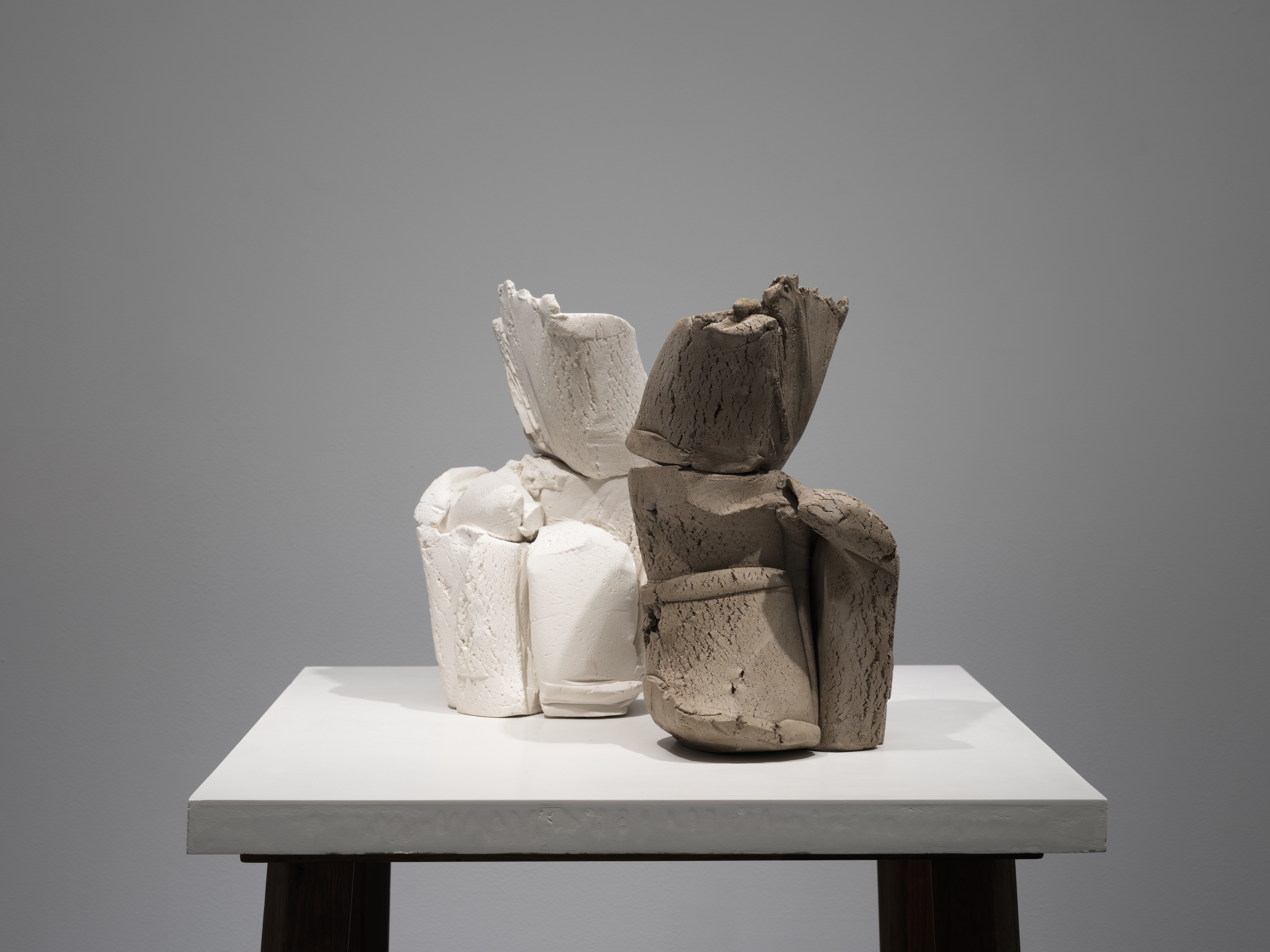 結核の革命的療法 岡田白観著 結核の革命的療法 岡田白観著