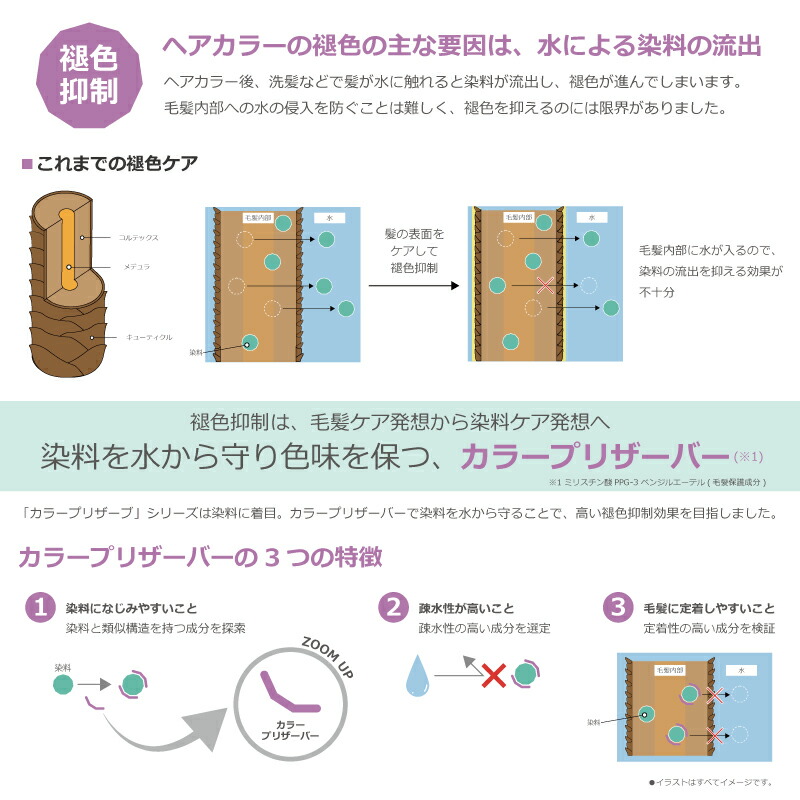 楽天市場】【3/1限定！抽選で100％ポイントバック】〈60〉【1＆1セット