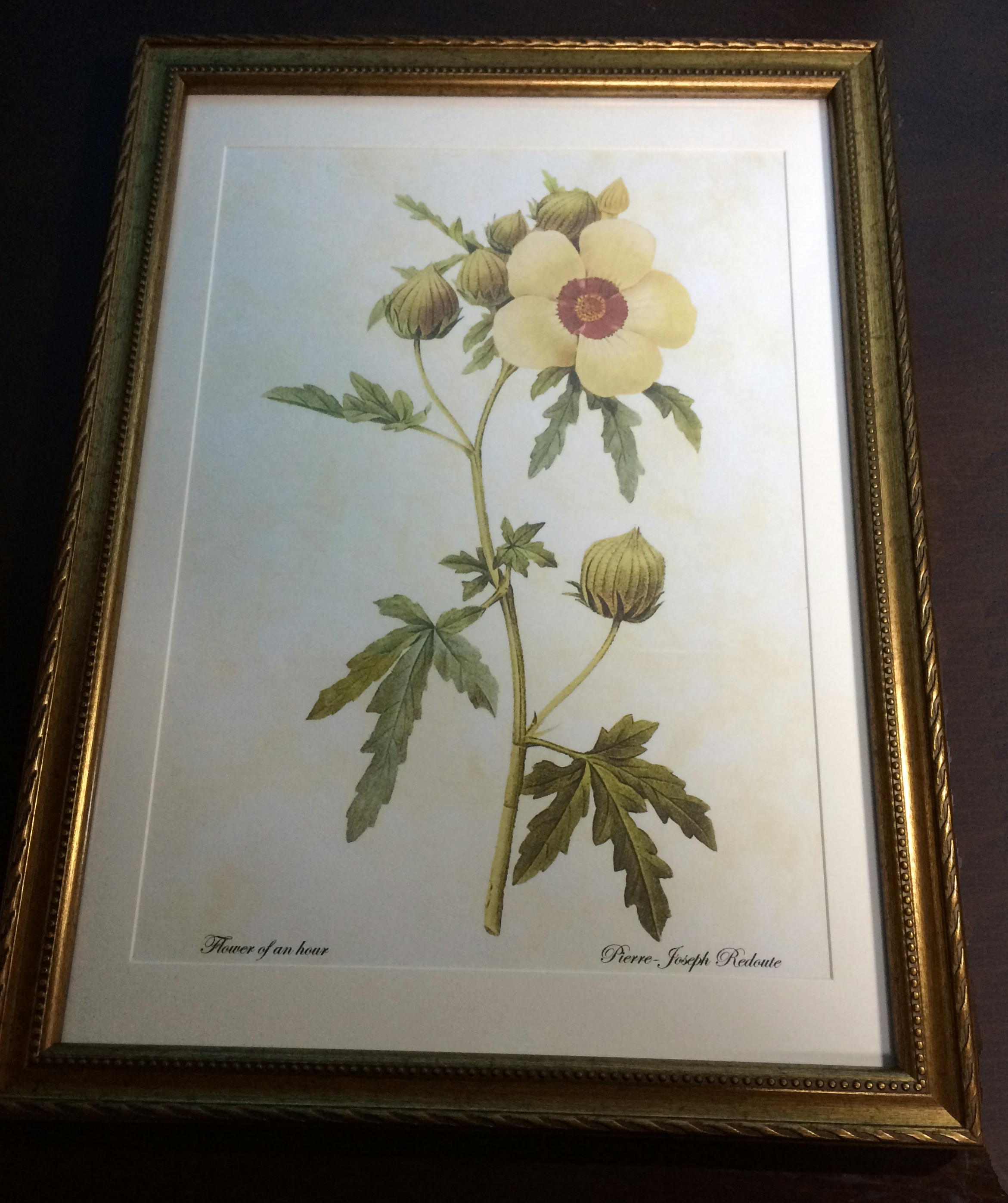 楽天市場】Pealimo インテリア 絵画 植物 ピエール ジョゼフ
