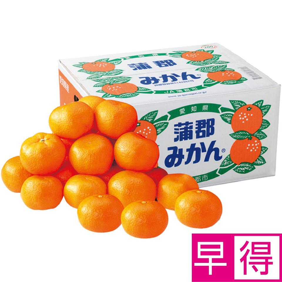 楽天市場】【冬の贈りもの早得】愛知県産蒲郡みかん10kg