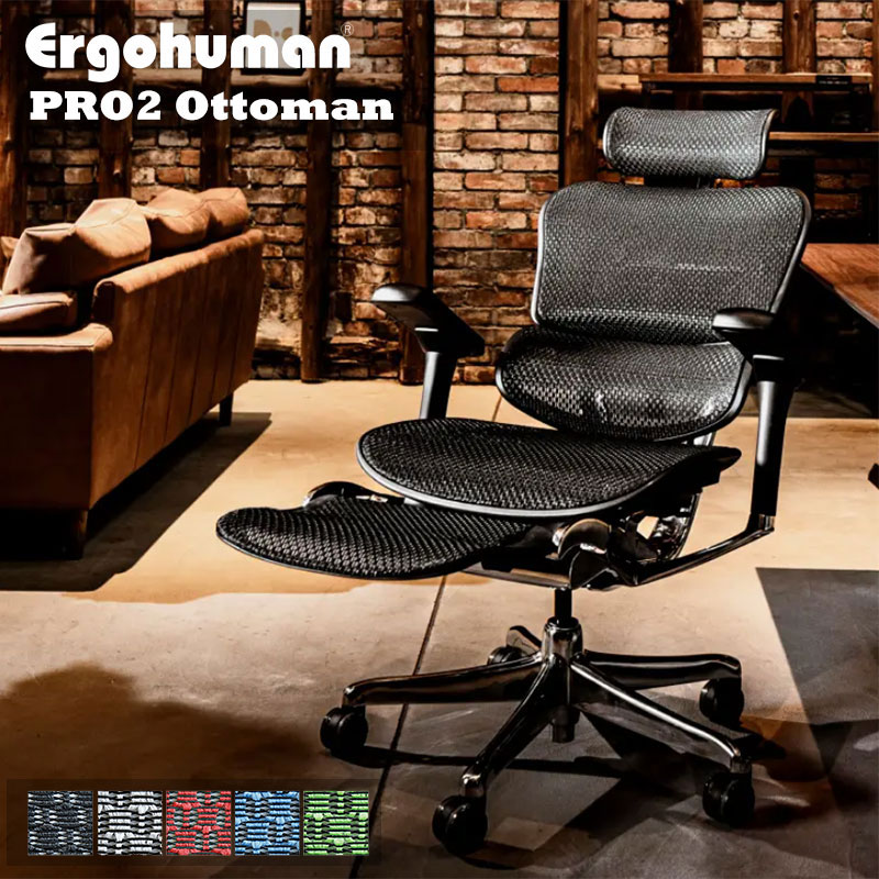 楽天市場】エルゴヒューマン プロ2 オットマン DR 新基盤 ダブル