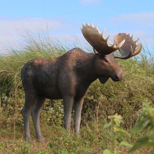 楽天市場】大迫力！ ムース Moose 体長約2m36cm 強化プラスチック（FRP