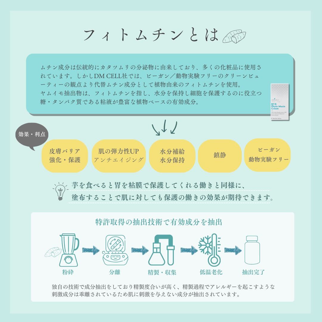 楽天市場】【正規品販売店】【リニューアル】DM CELL B.T.X.フィト