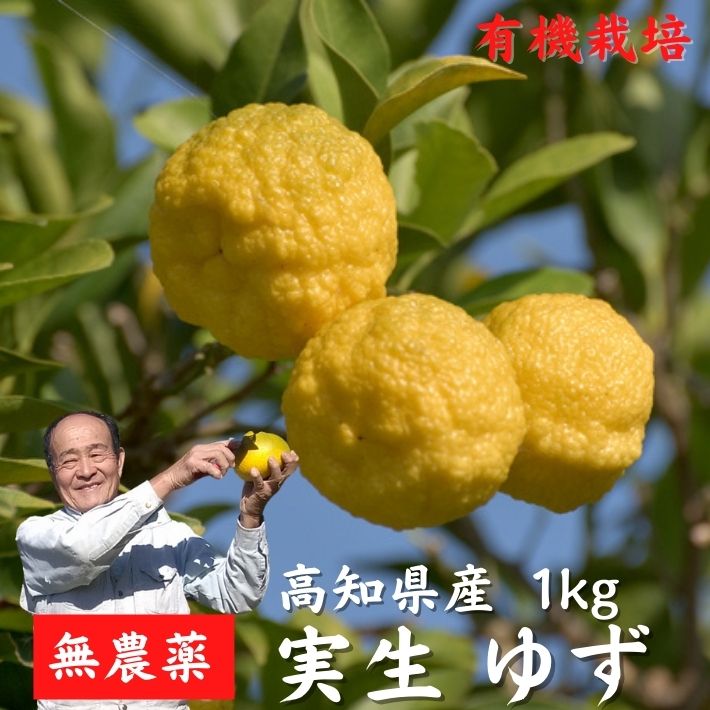 楽天市場】農薬を使用しない 実生 ゆず 有機栽培 無農薬 柚子 (1kg 2kg