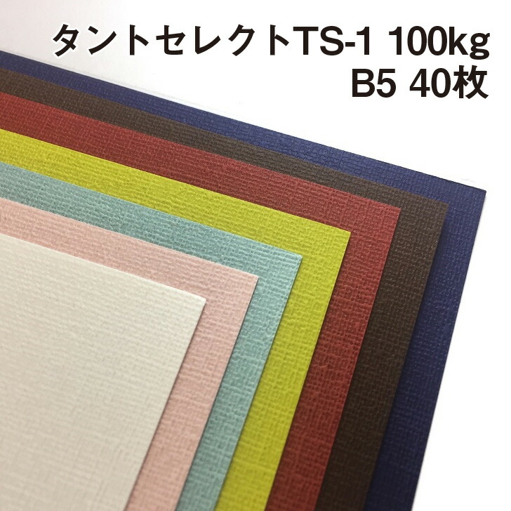 楽天市場】タントセレクトTS-1 100kg B5 40枚|全16色より1色選択