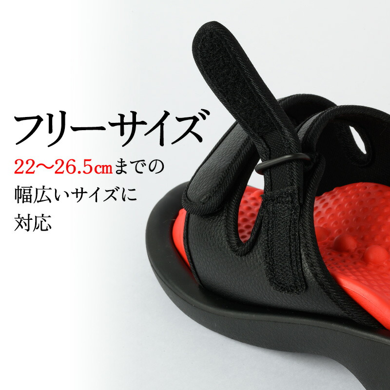 楽天市場】【2/25限定2人に1人最大100%P】TVで紹介【選ぶ景品】 S美