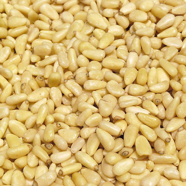 楽天市場】松の実 (1kg) 大粒 中国産 【送料無料】 : 松葉屋