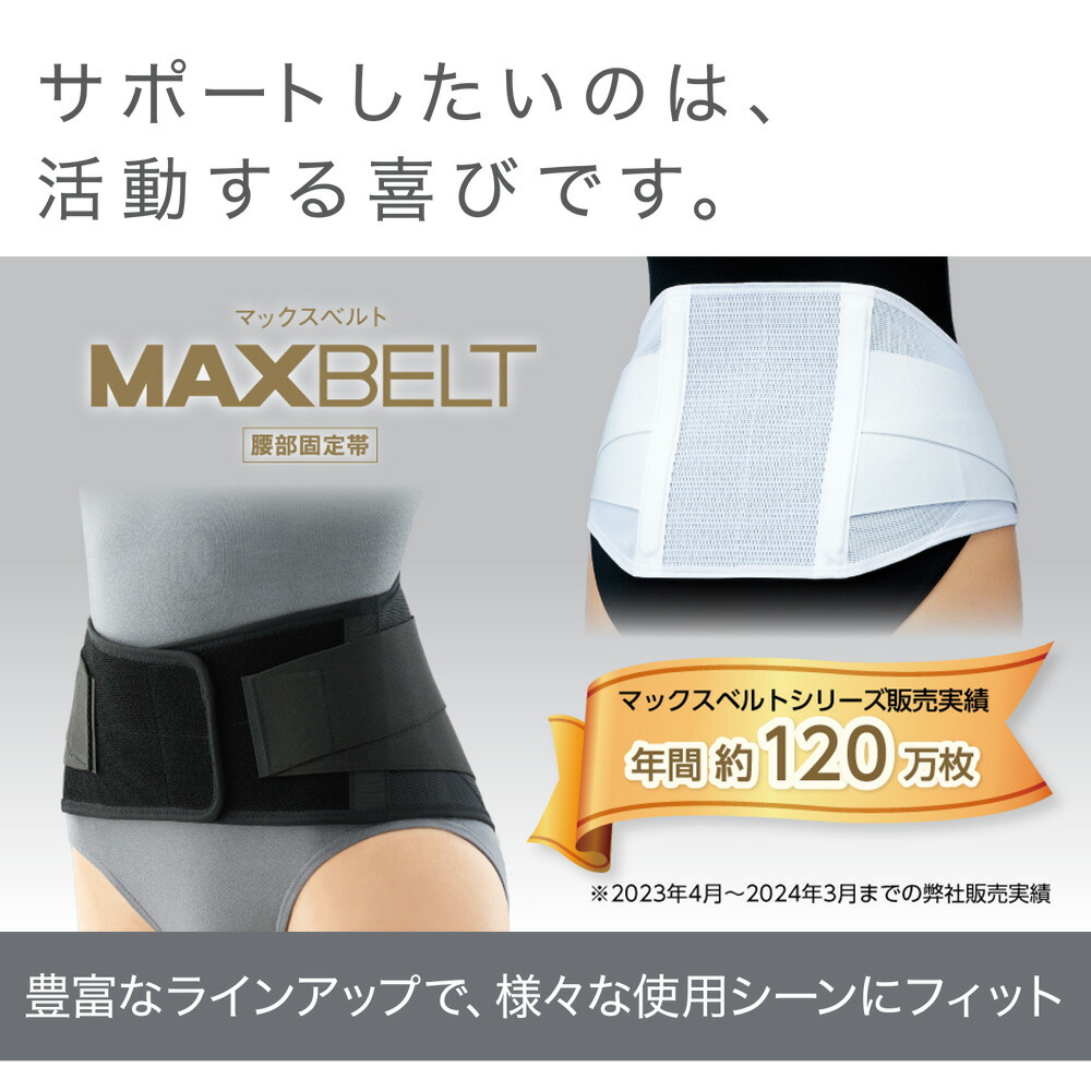 楽天市場】マックスベルト R2 321205（3L） 1個 日本シグマックス 19