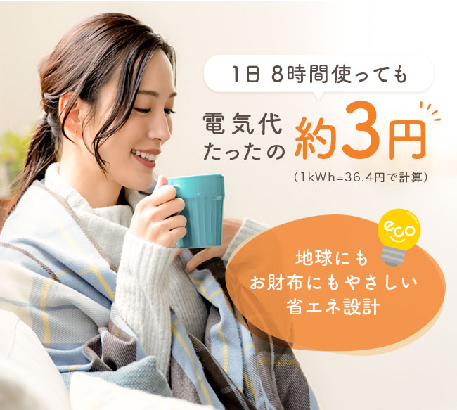 楽天市場】[メール便送料無料]【ホットマット一人用 グラフェン ダウン