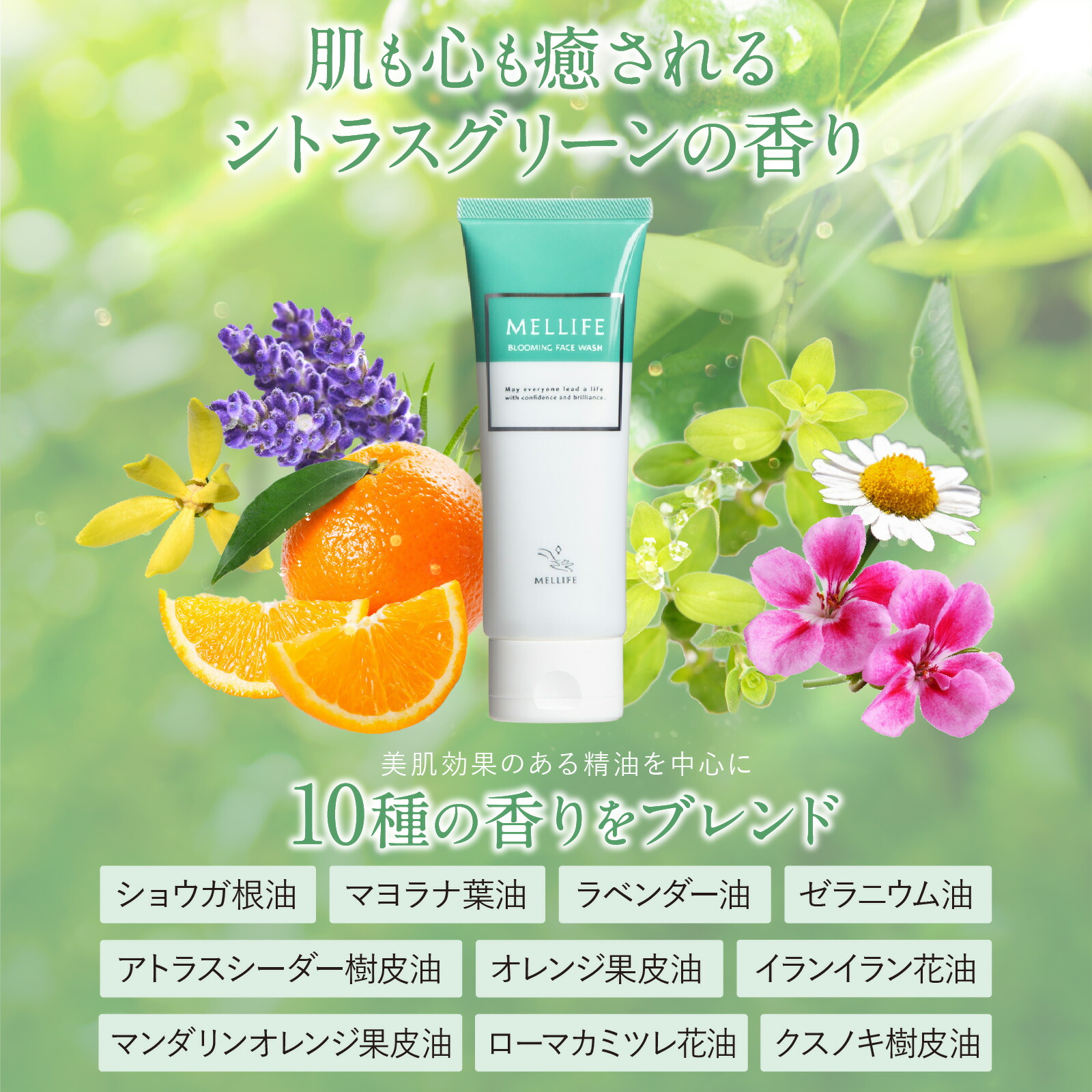 楽天市場】MELLIFE公式 メリフ ブルーミングフェイスウォッシュ 90g