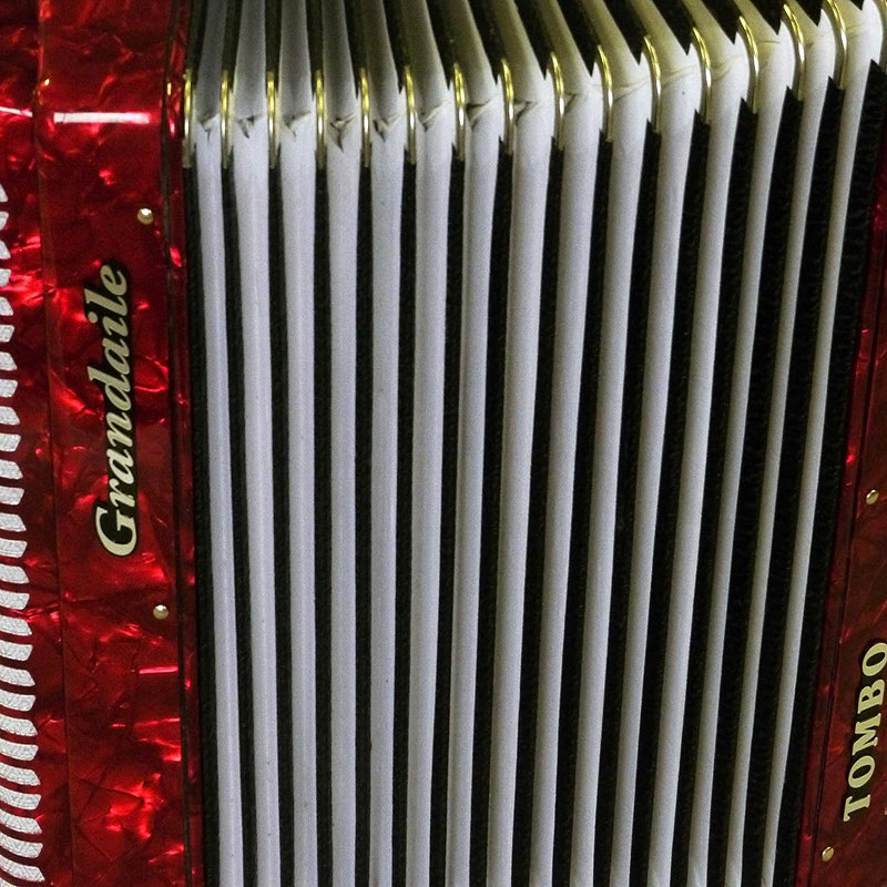 楽天市場】TOMBO GT-60B トンボ アコーディオン Grandaile パッション