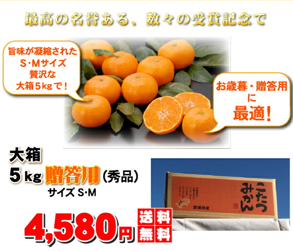 楽天市場】割引クーポン付☆冬味・こたつみかん 贈答用（秀品）5kg