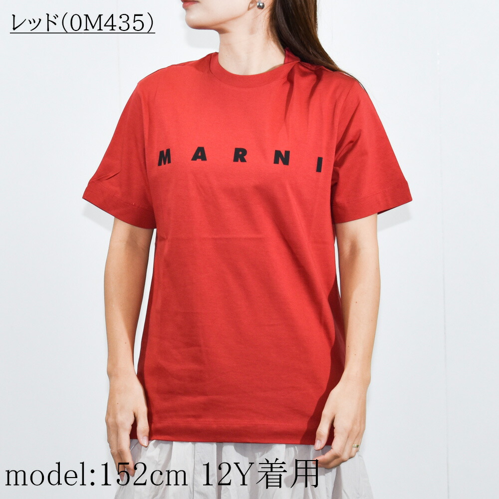 楽天市場】マルニ Tシャツ レディース ロゴ 半袖 ブランド 親子リンク